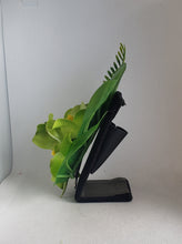Load image into Gallery viewer, Triple Orchid Tropical Hair Flower in Light Green
