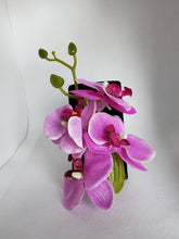 Load image into Gallery viewer, Quadruple Orchid Hair Flowers in Fuchsia