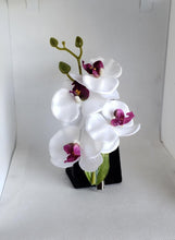 Load image into Gallery viewer, Quadruple Orchid Hair Flowers in White