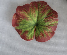 Load image into Gallery viewer, Geranium Cluster Hair Flower in Red