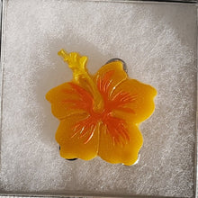 Load image into Gallery viewer, Retro Hibiscus Brooch
