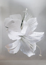 Load image into Gallery viewer, Double Lily Hair Flower in white
